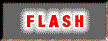 flash info.pdf